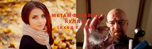 прущие грибы Нязепетровск