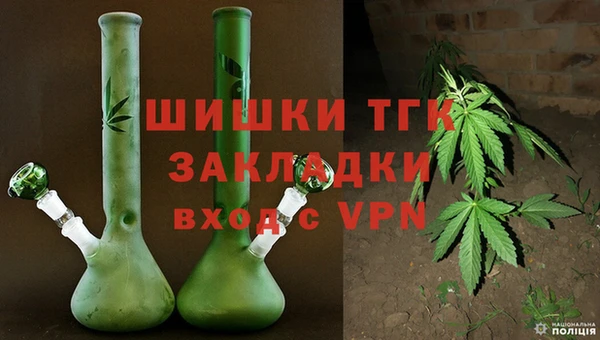 прущие грибы Нязепетровск