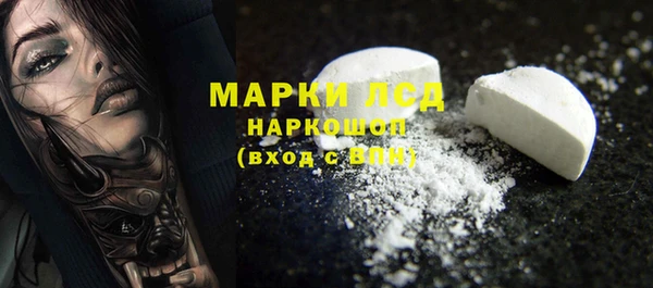 прущие грибы Нязепетровск